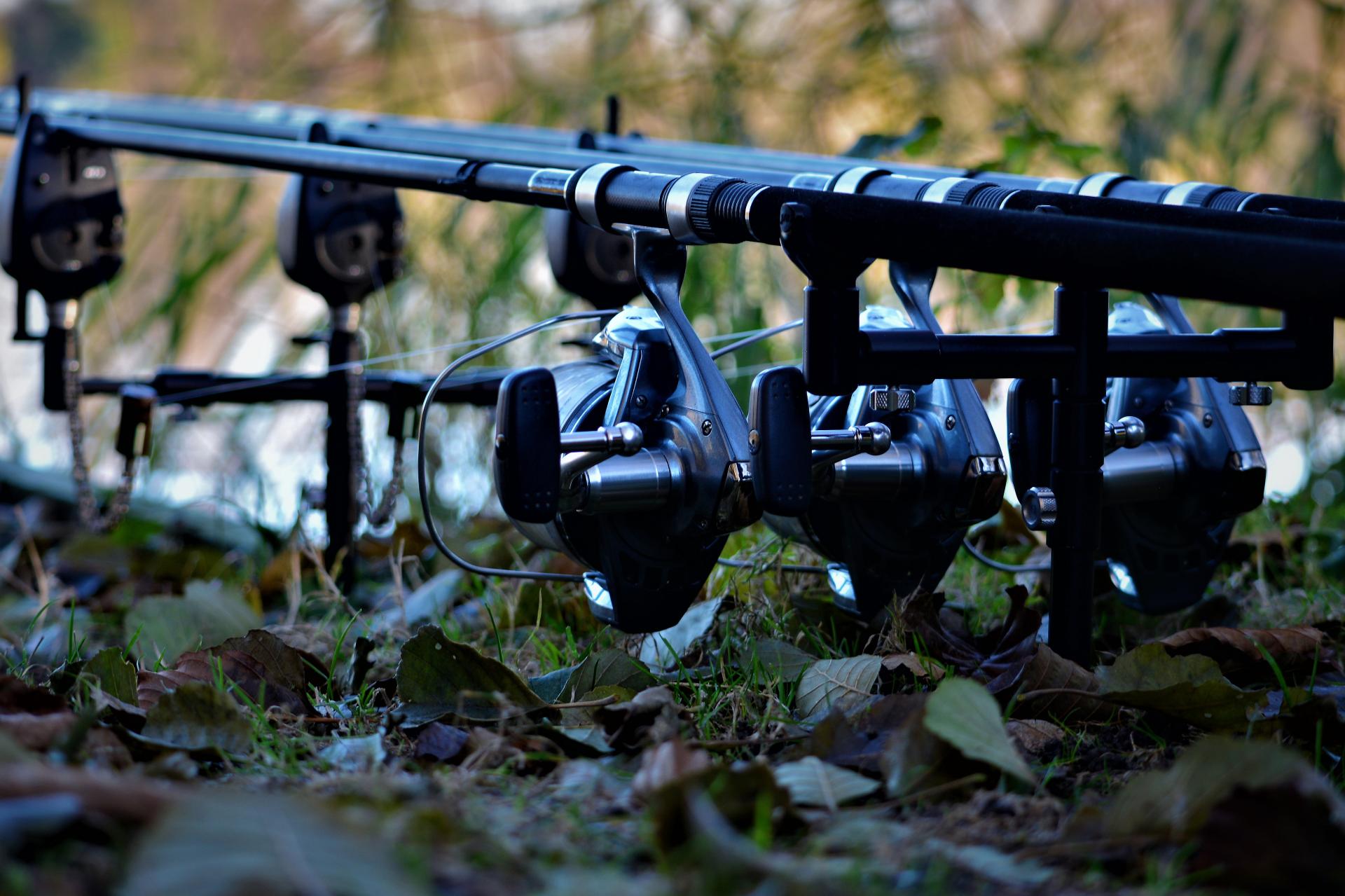 If you want to be the first to know. You're in the right place.