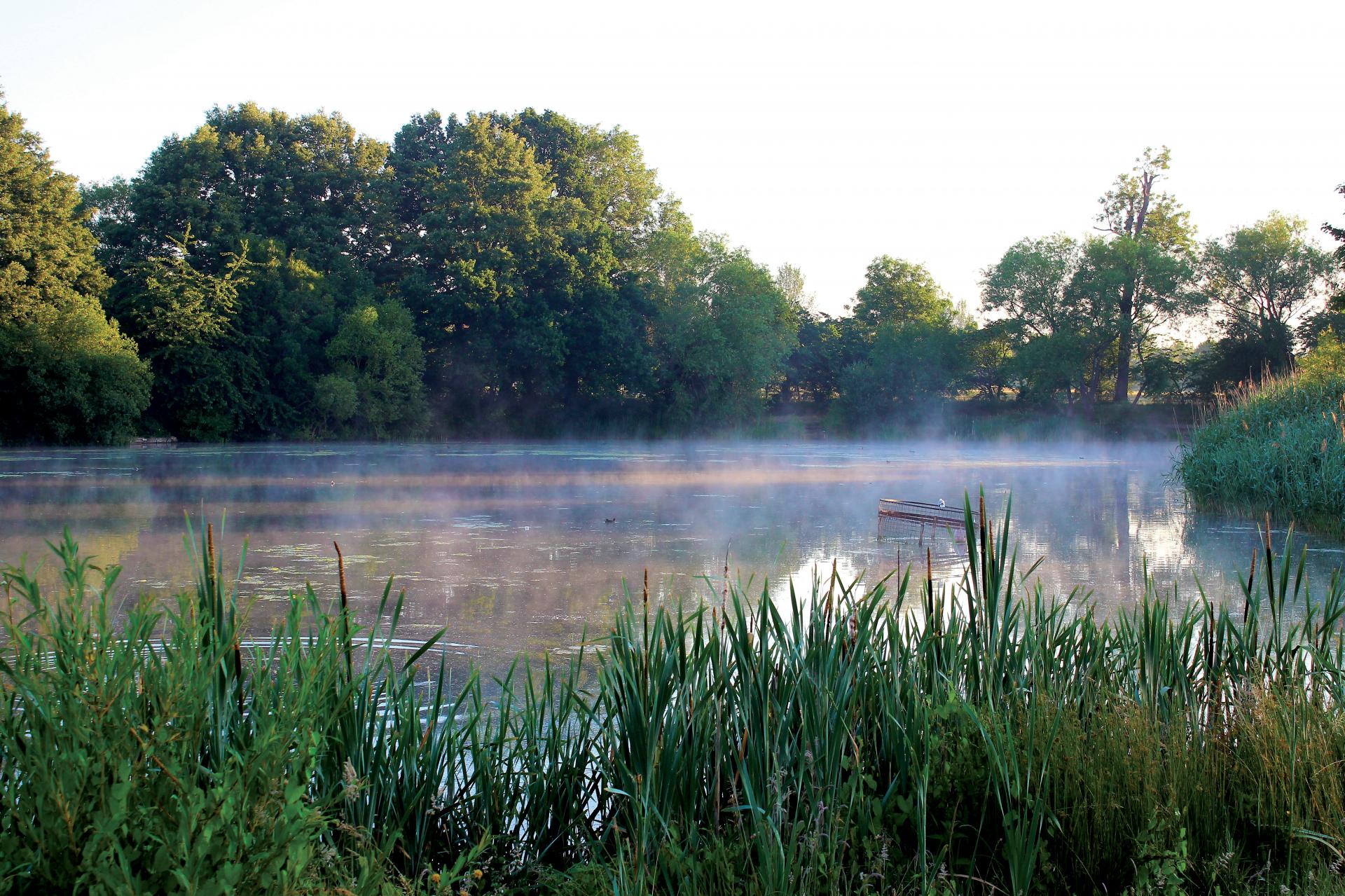 CLUB Brookfield. Private Syndicate.