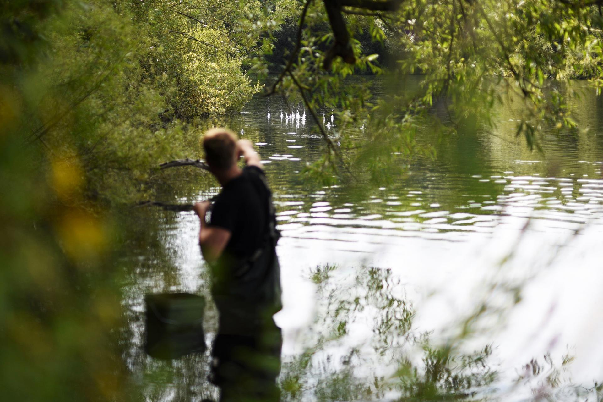Hooks Marsh. Fishers Green Consortium.