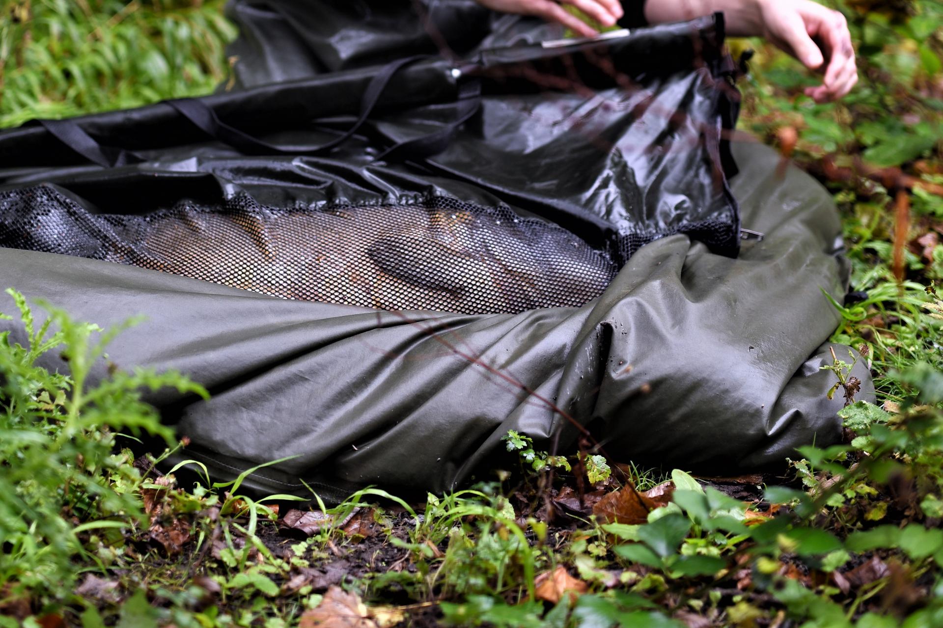 Woodlands Lake. Enfield Anglers Council.