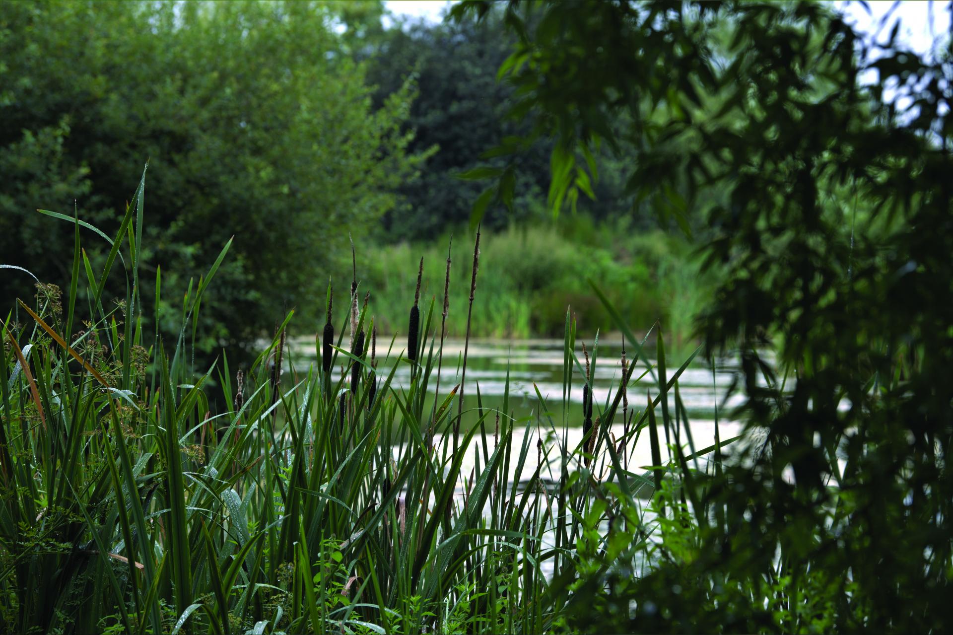 Marsh Pit. Turnford Consortium.
