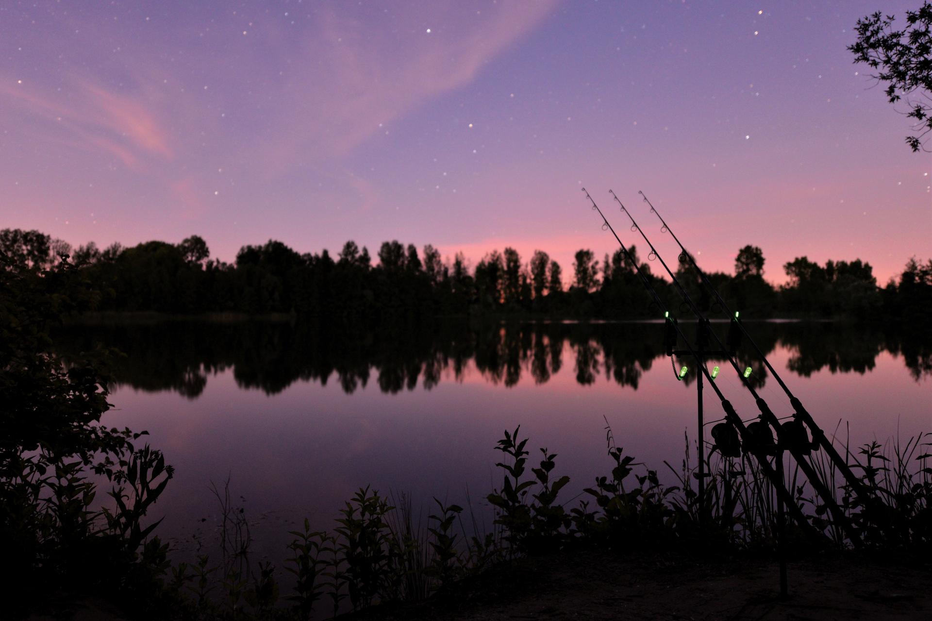 Looking for more information? Take a look at the links on this page.