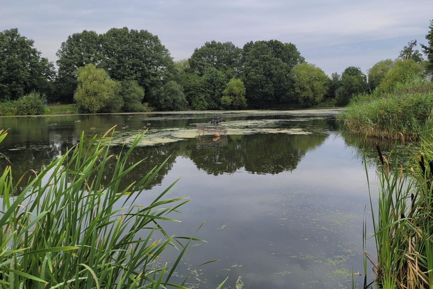 BROOKFIELD LAKE - Baitcraft Angling Society. -