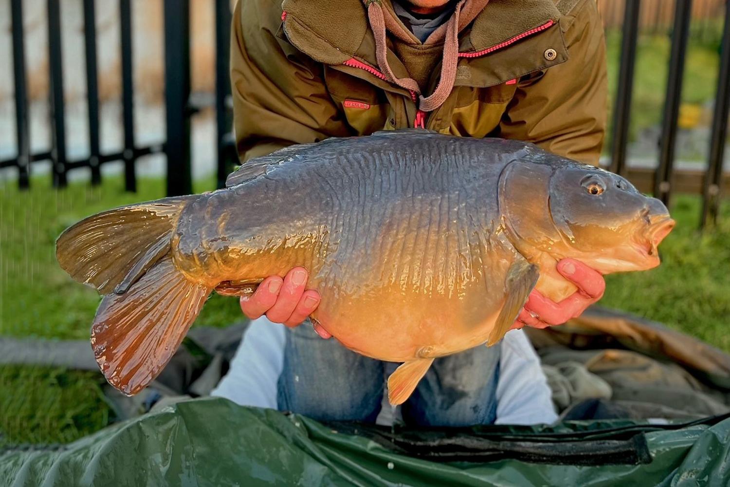 BROOKFIELD LAKE - Baitcraft Angling Society. -