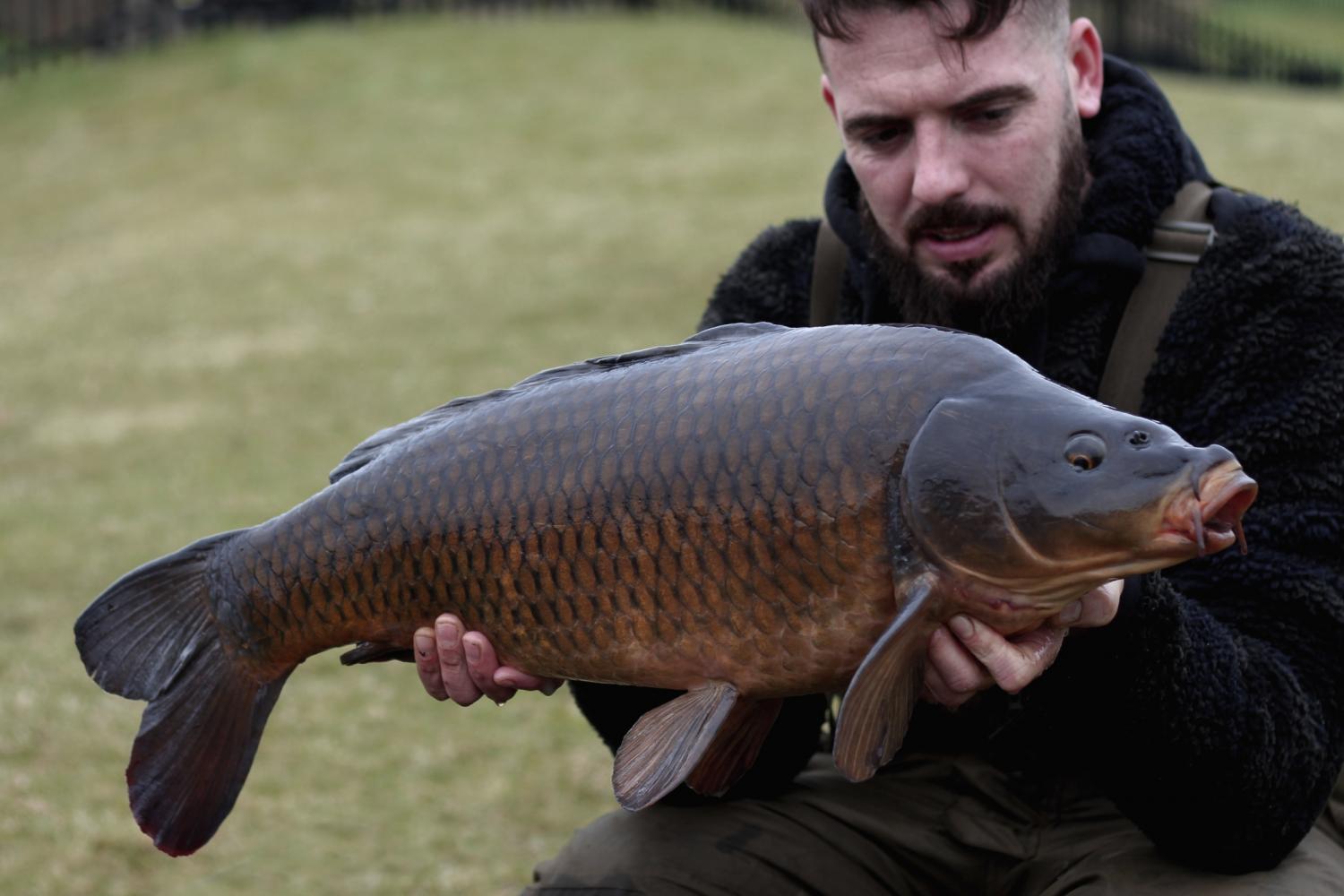 BROOKFIELD LAKE - Baitcraft Angling Society. -