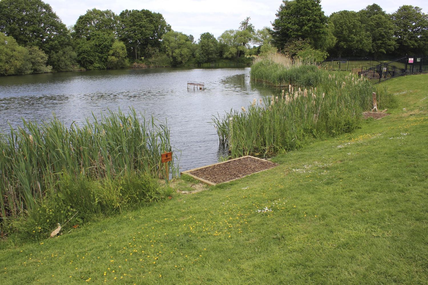 BROOKFIELD LAKE - Baitcraft Angling Society. -