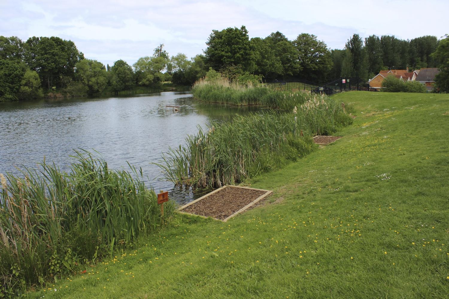 BROOKFIELD LAKE - Baitcraft Angling Society. -
