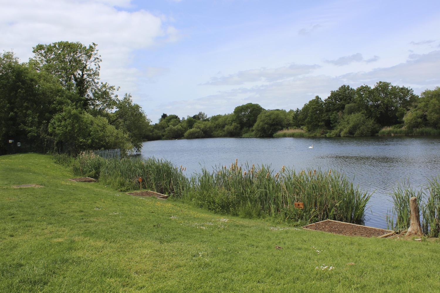 BROOKFIELD LAKE - Baitcraft Angling Society. -