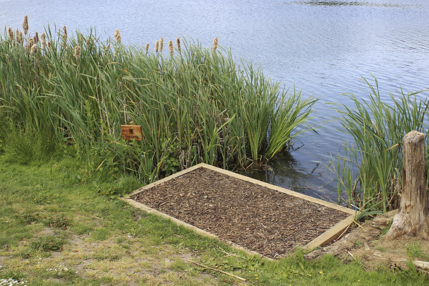 BROOKFIELD LAKE - Baitcraft Angling Society. -