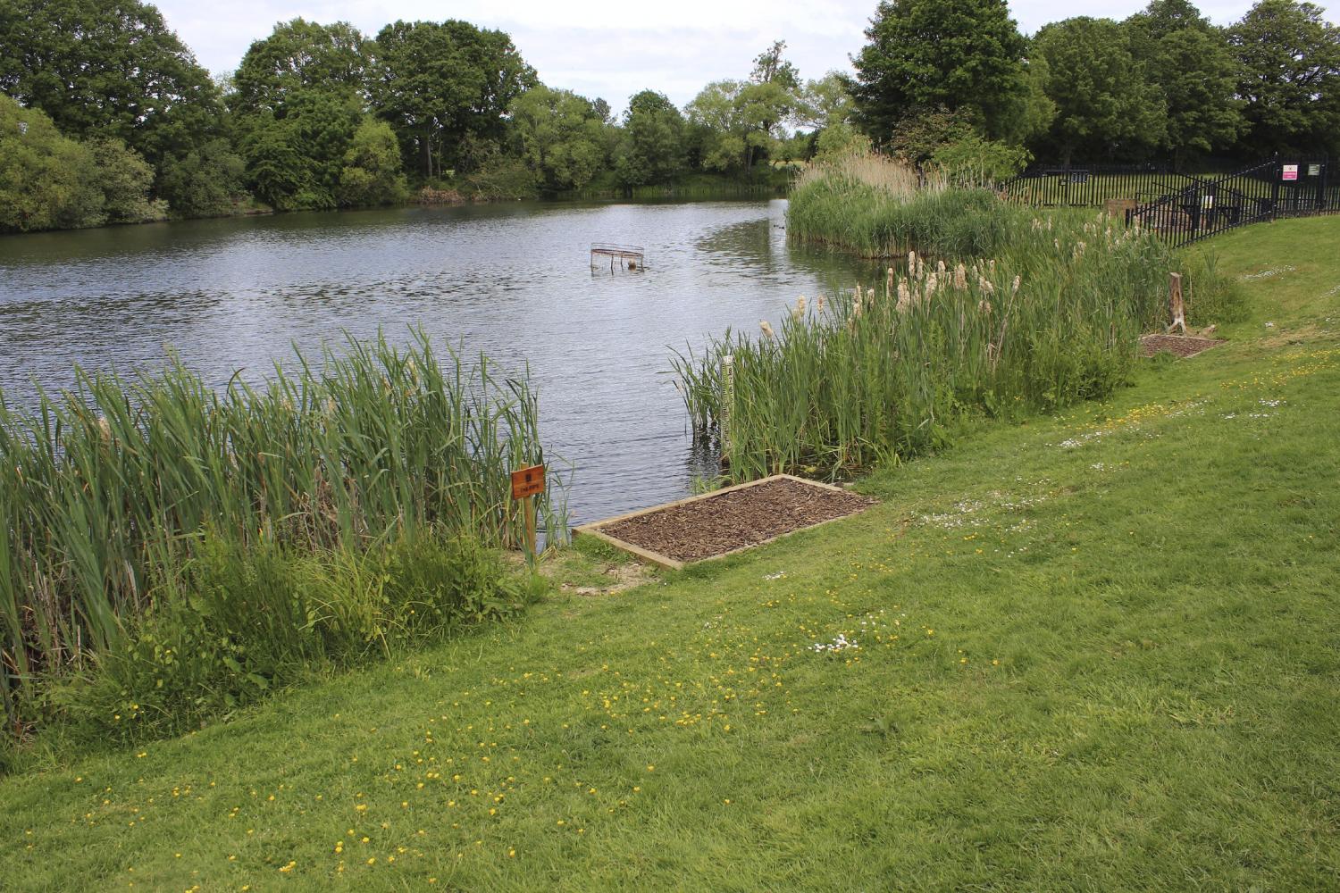 BROOKFIELD LAKE - Baitcraft Angling Society. -