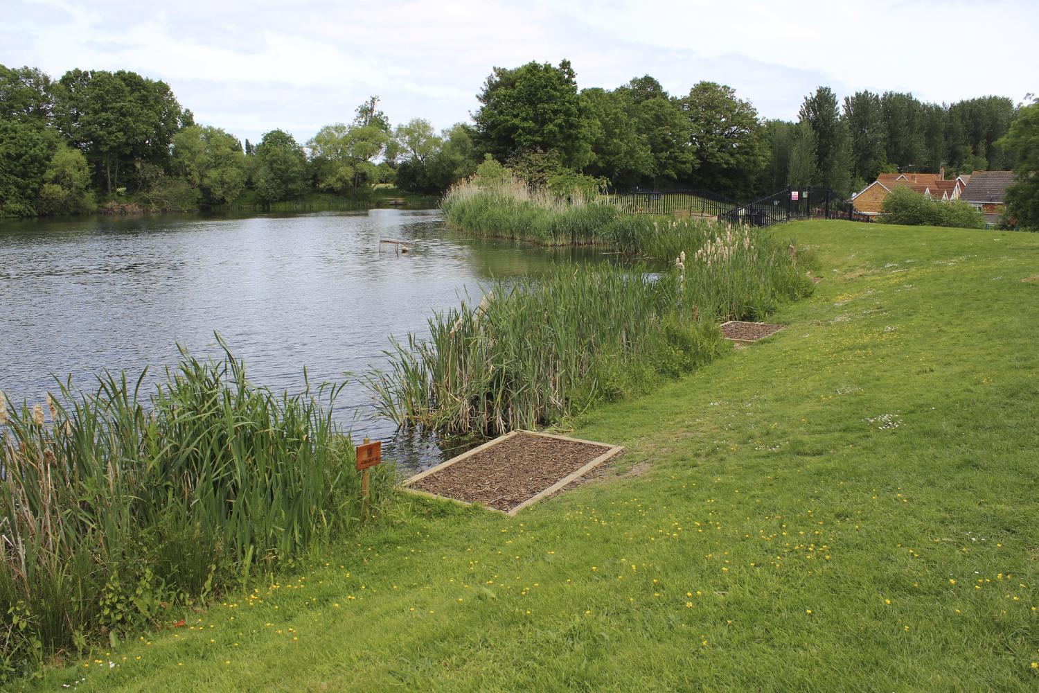 BROOKFIELD LAKE - Baitcraft Angling Society. -