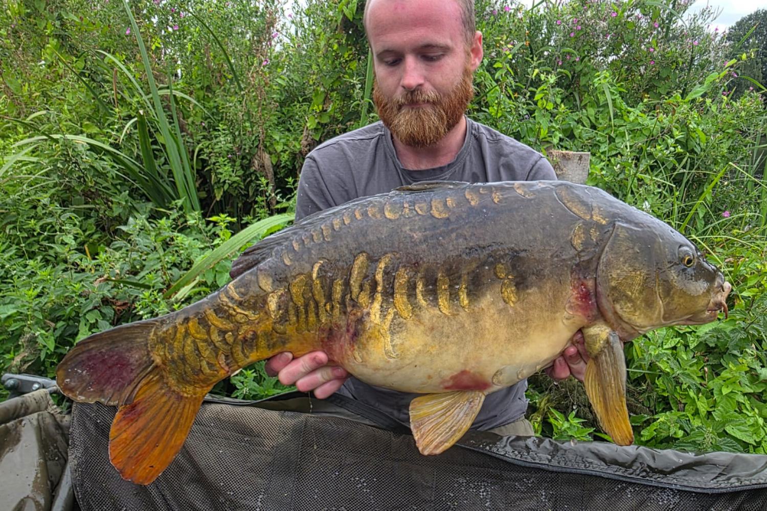 BROOKFIELD LAKE - Baitcraft Angling Society. -