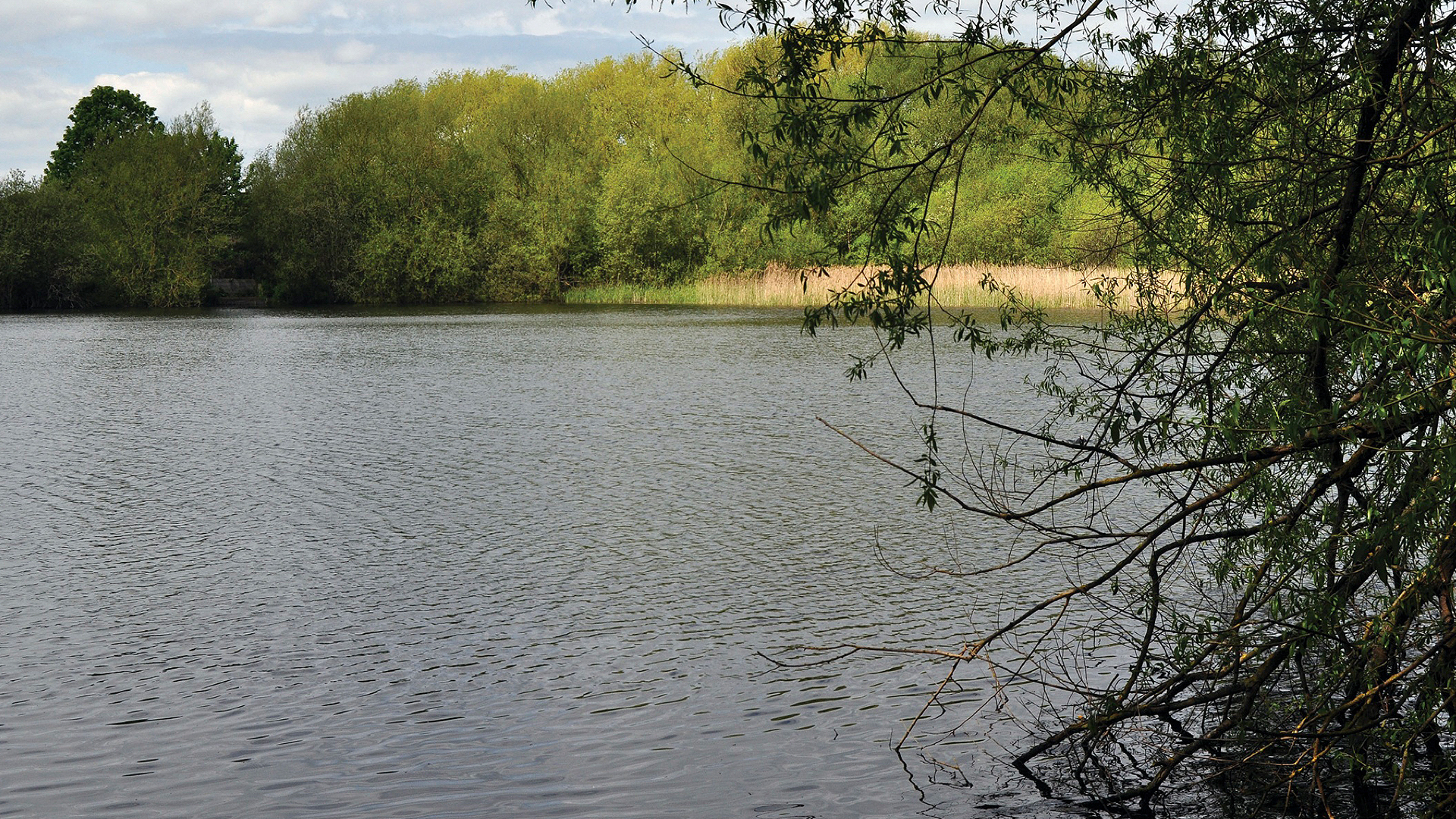 TURNFORD CONSORTIUM RAILWAY PIT
