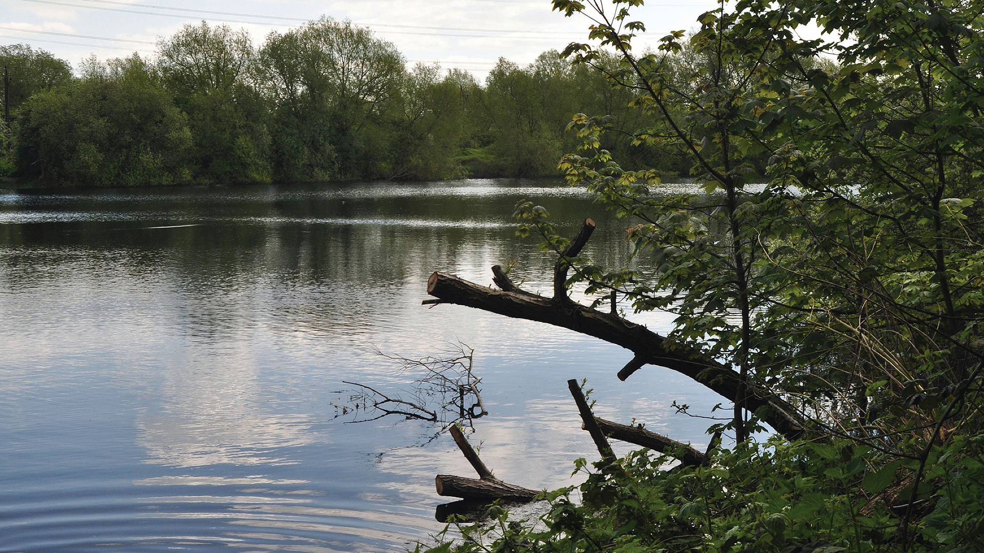 TURNFORD CONSORTIUM LEA PIT