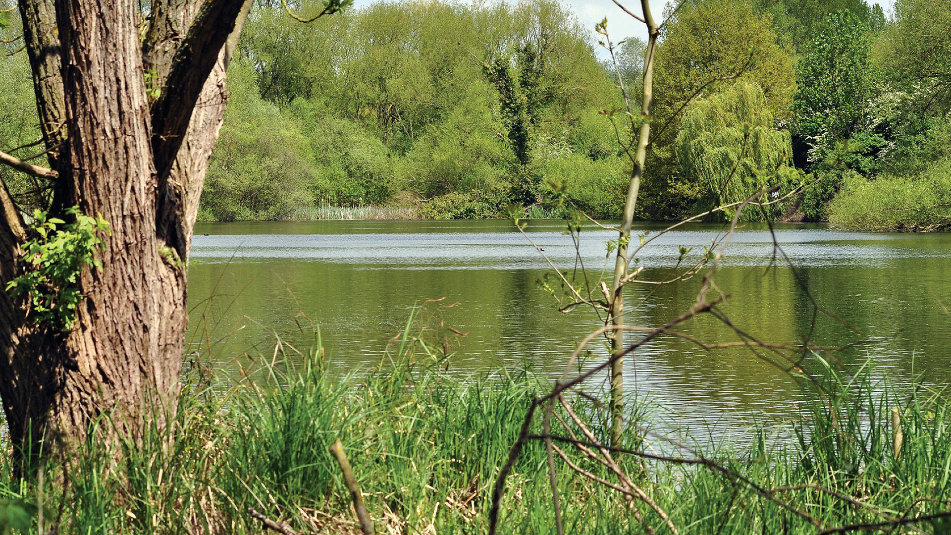 TURNFORD CONSORTIUM MARSH PIT