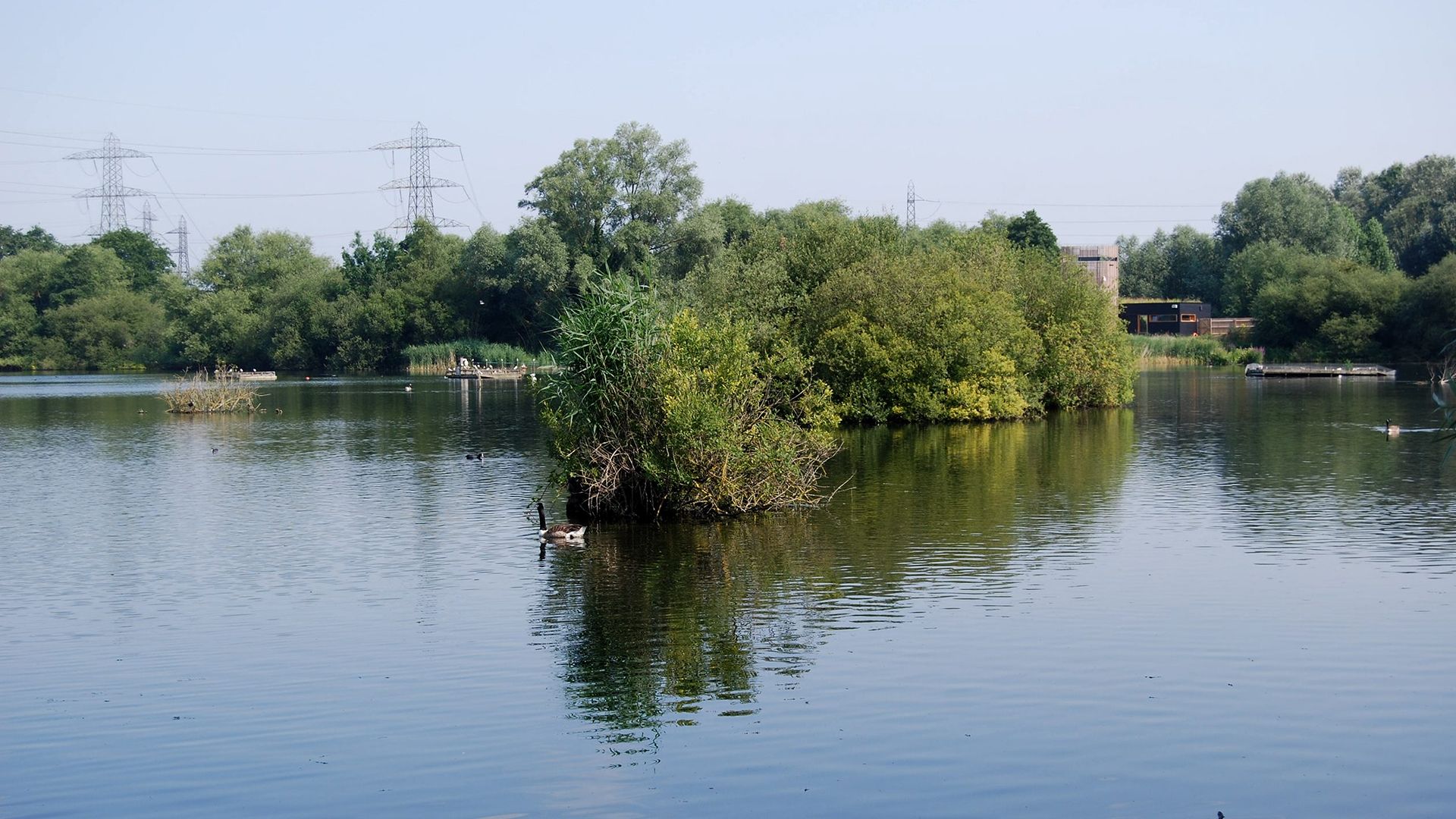 FISHERS GREEN CONSORTIUM SEVENTY ACRE LAKE