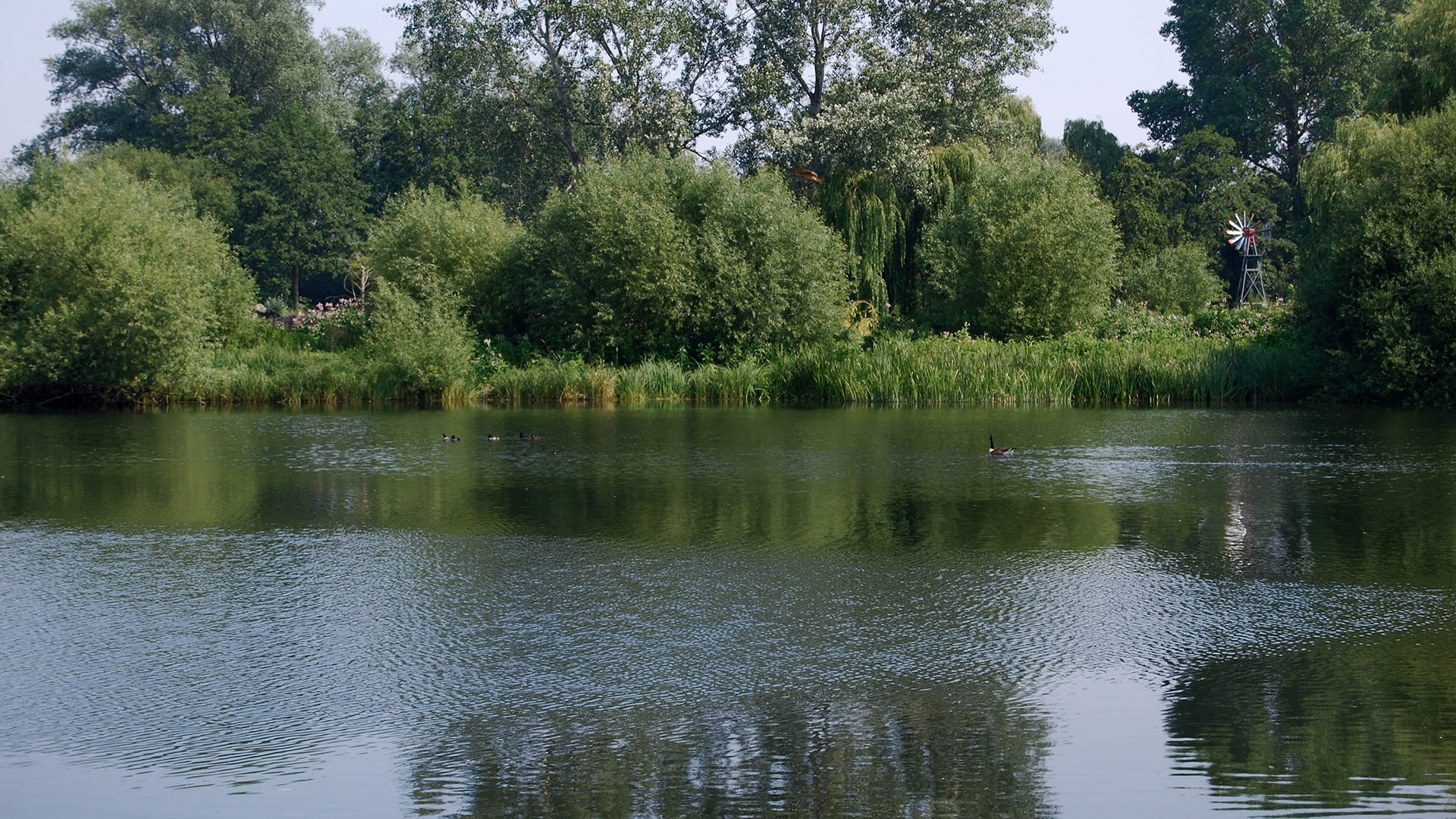 FISHERS GREEN CONSORTIUM HOOKS MARSH