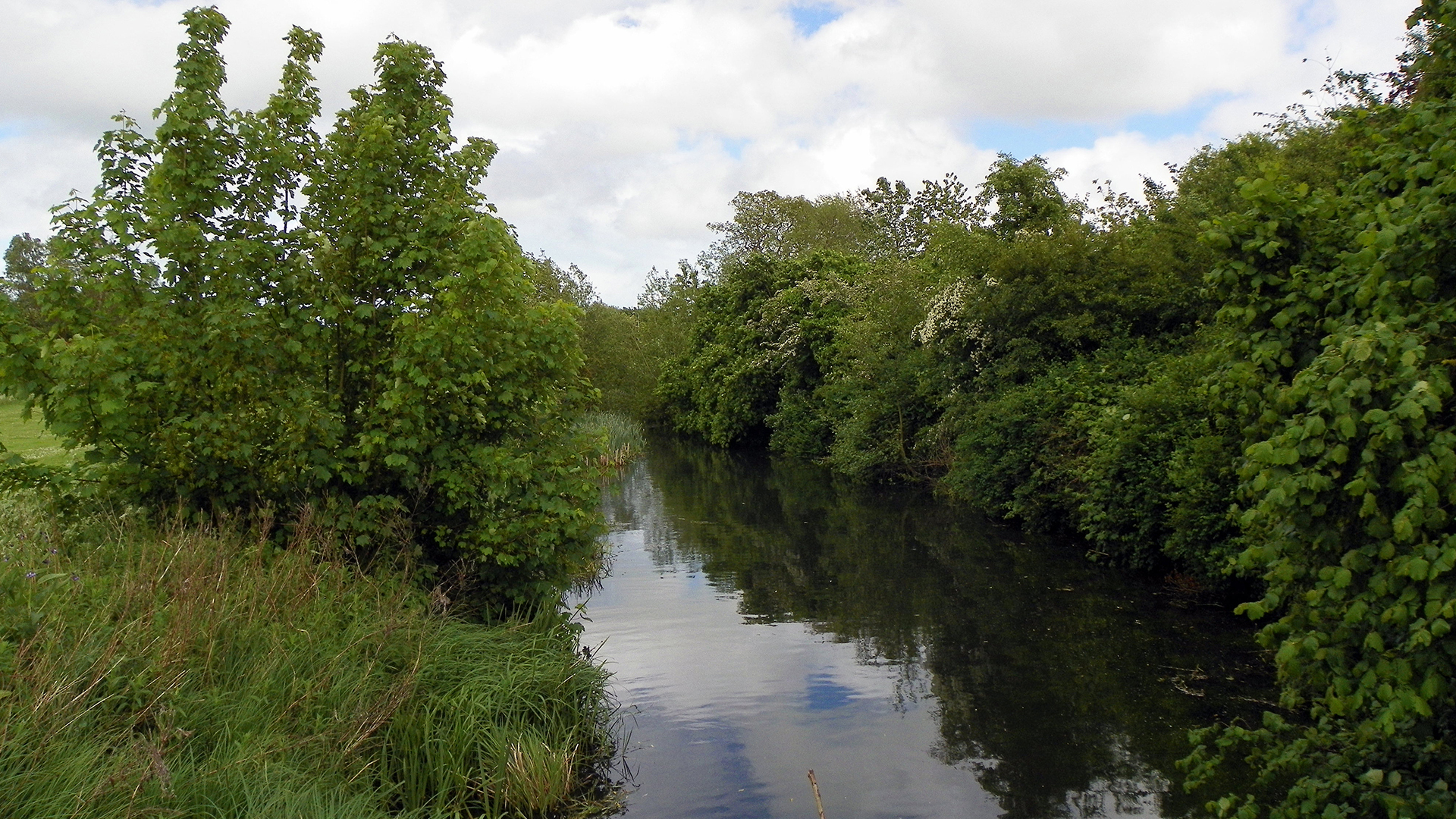 FISHERS GREEN CONSORTIUM THE CORNMILL STREAM: