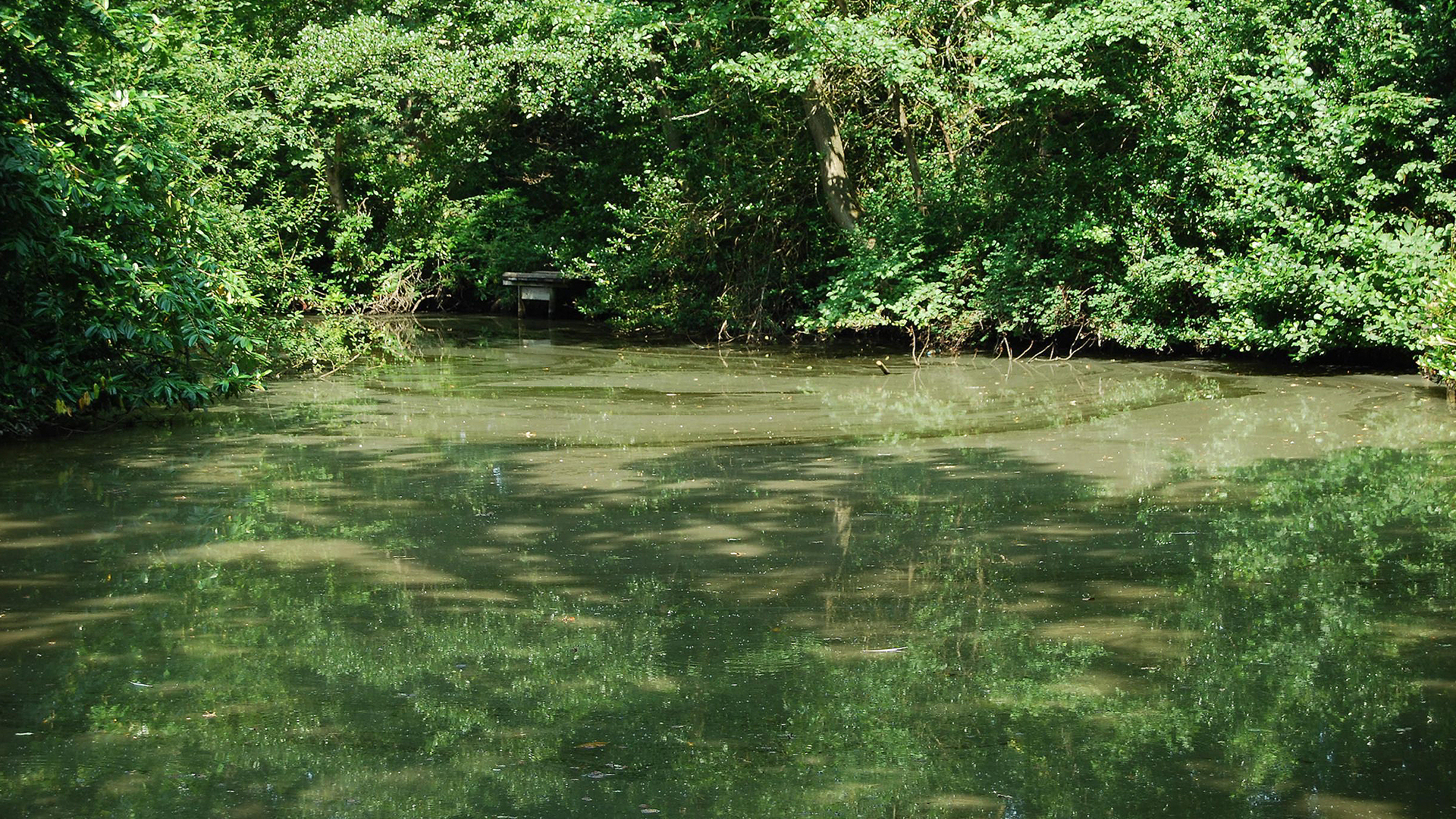 ENFIELD ANGLERS COUNCIL WOODLANDS LAKE
