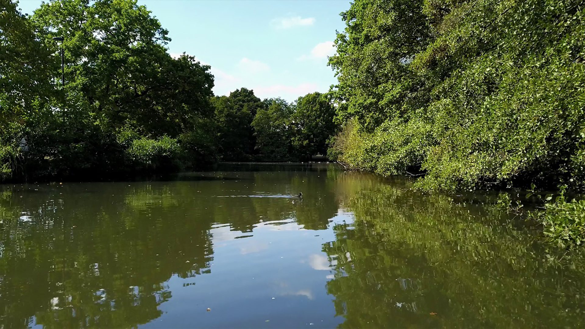 ENFIELD ANGLERS COUNCIL BOXERS LAKE