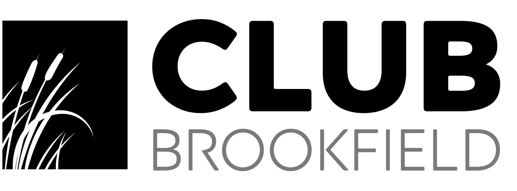 CLUB BROOKFIELD SOCIAL
